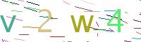 Verify Code