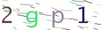 Verify Code