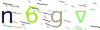 Verify Code