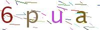 Code überprüfen