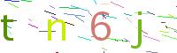 Verify Code