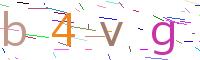 Verify Code