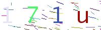 Verify Code