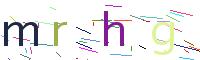 Verify Code